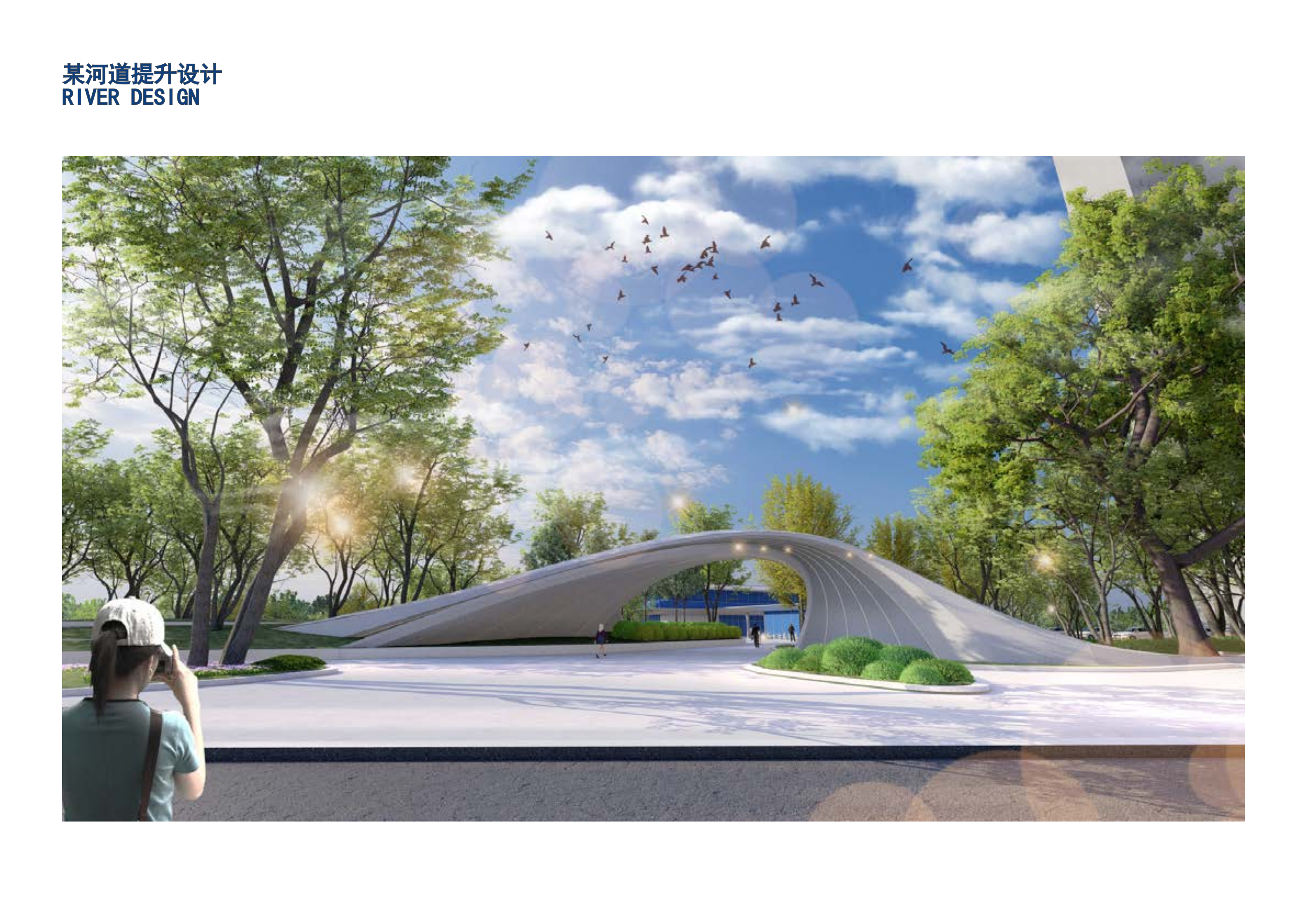 Design analysis diagram, typesetting，Landscape design，Cartoon Analysis Chart，Landscape Design Text，Text typesetting，