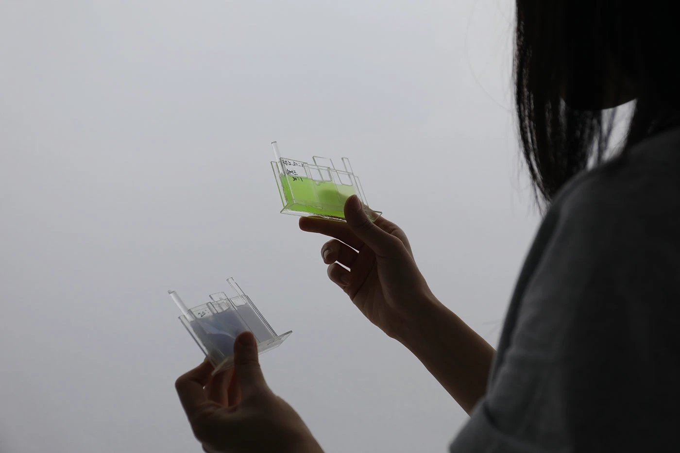 LANEIGE，Air Cushion Cream，Cosmetics，Lanzhi，