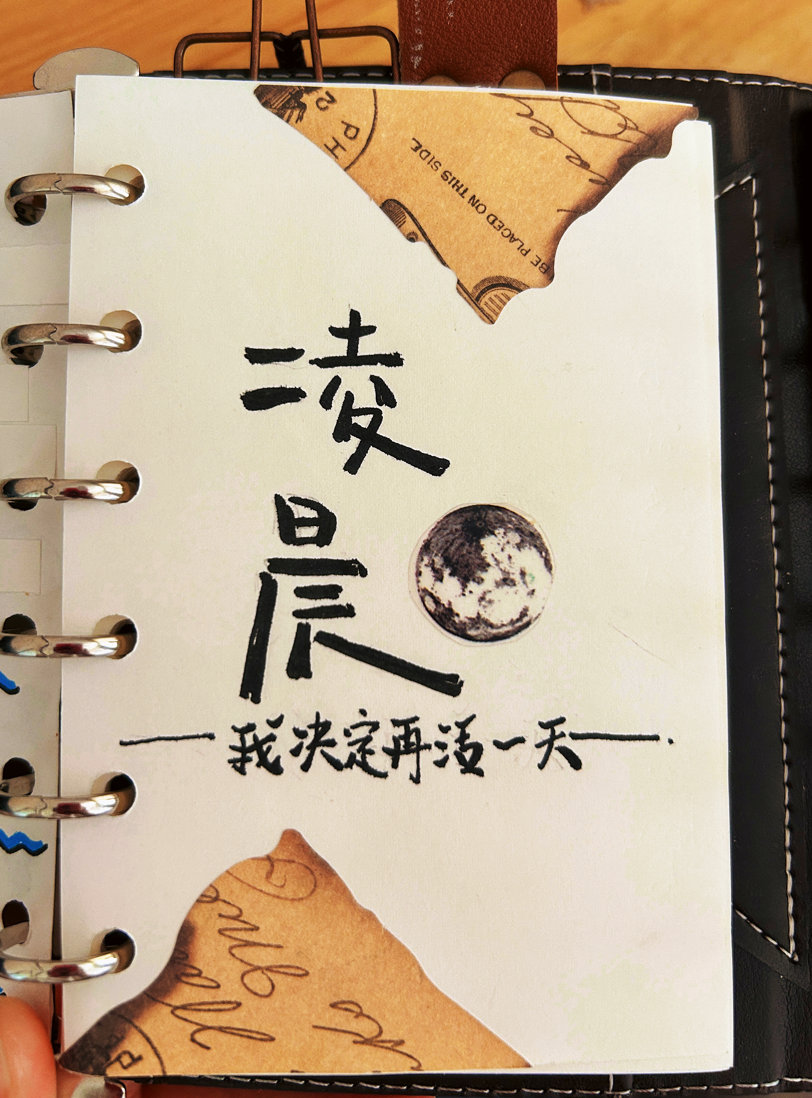 Hand drawn，Hand account，Creative Notebook，Label design，hand-painted creative design，