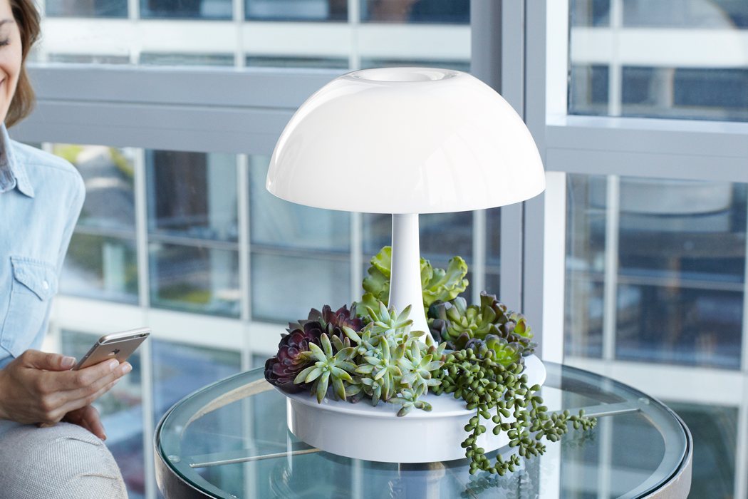 originality，white，lamps and lanterns，