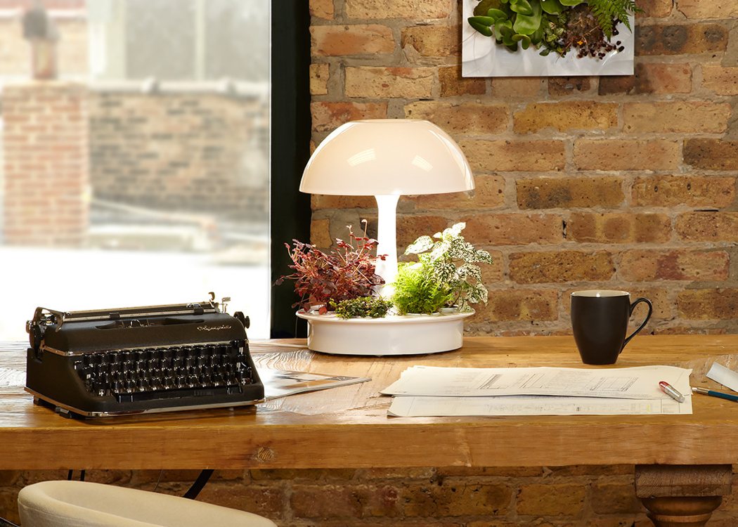 originality，white，lamps and lanterns，