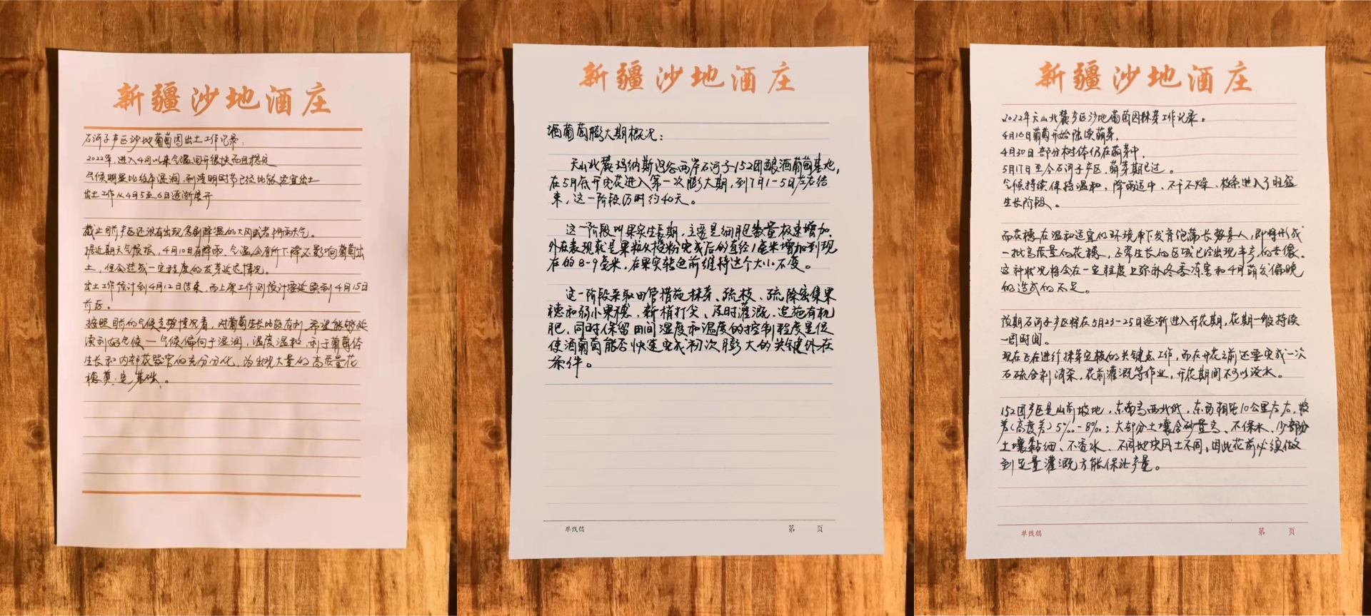 Gu Yi design，Red Wine Packaging Design Company，Wine label design，Red wine design company，