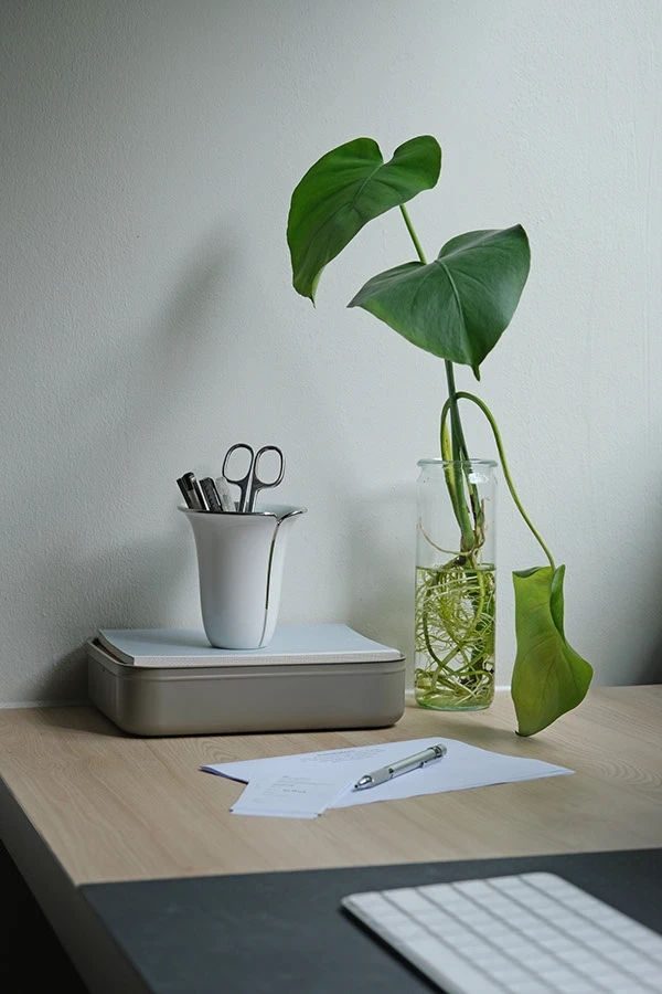 NAA，ceramics，Sustainable design，vase，Champagne barrel，