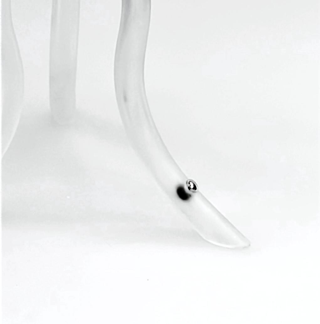 lighting，Home Furnishing，bionics，Art installation，