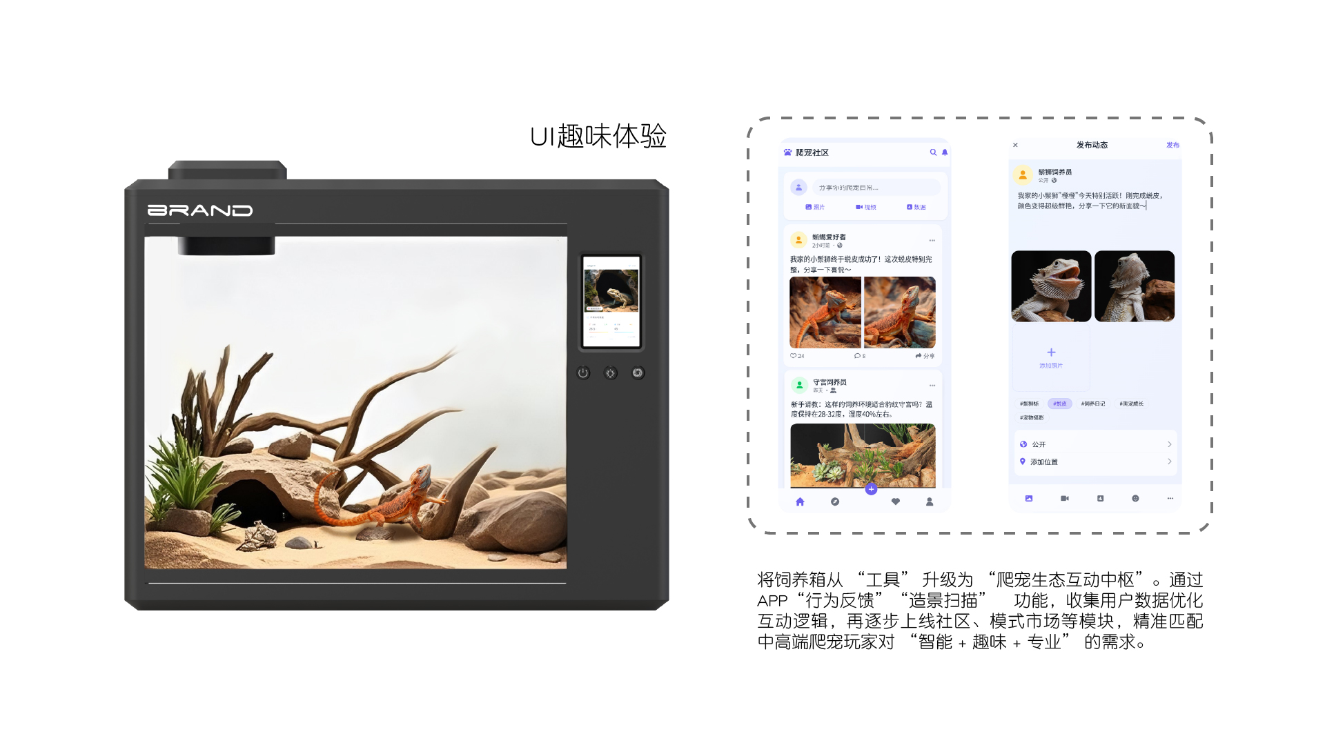 Climbing pet，Ecological box，Minimalist，restraint aesthetics，Feeding box，intelligence，