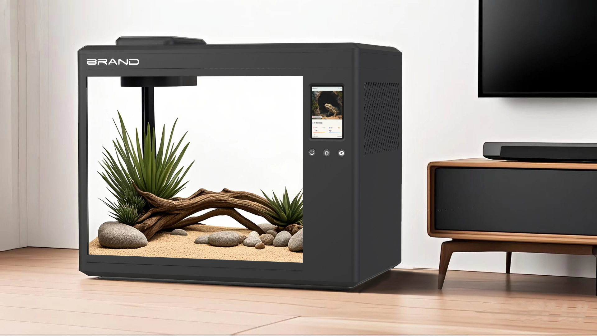 Climbing pet，Ecological box，Minimalist，restraint aesthetics，Feeding box，intelligence，