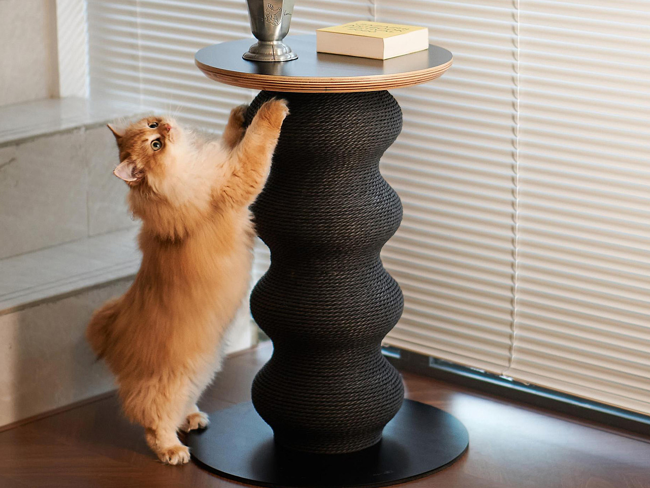 Coral modeling，Cat Pillar，Coral Scratcher，modularization，Black and white minimalist，