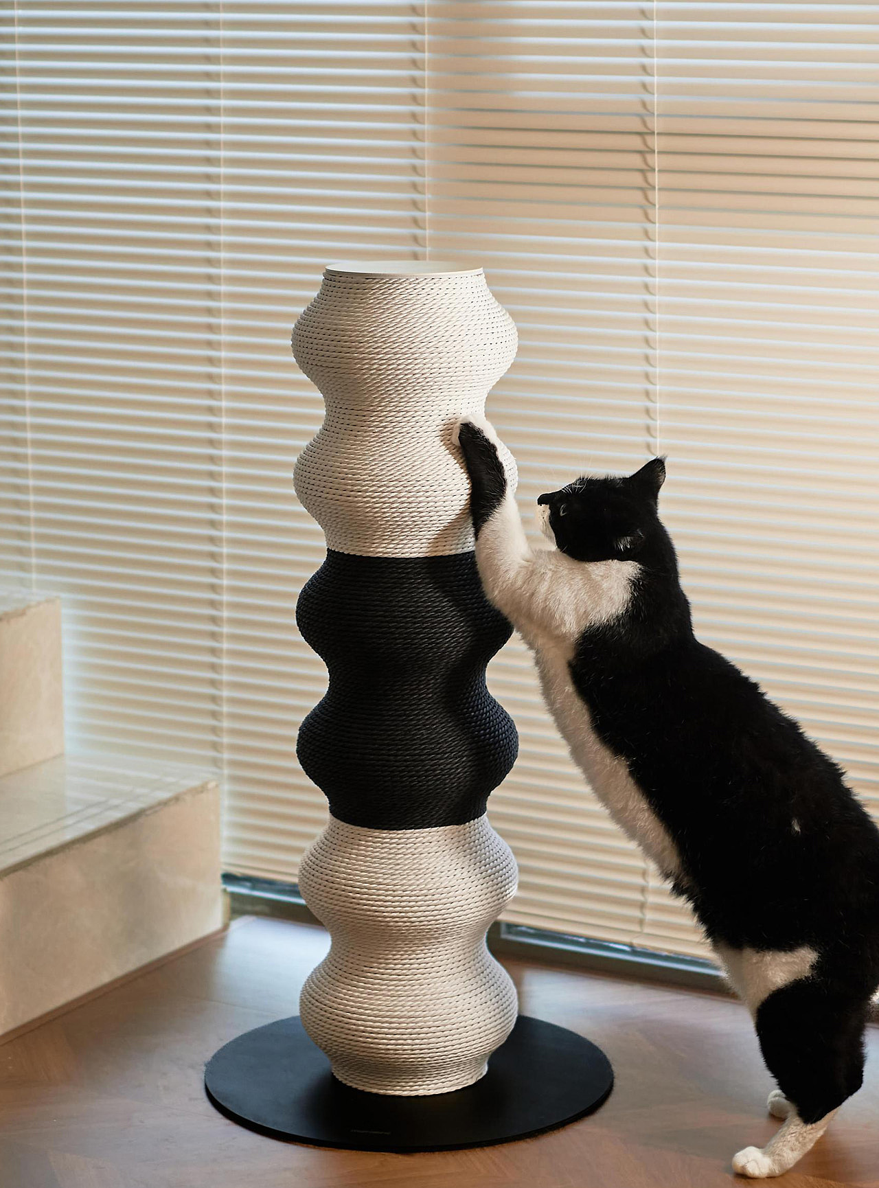 Coral modeling，Cat Pillar，Coral Scratcher，modularization，Black and white minimalist，