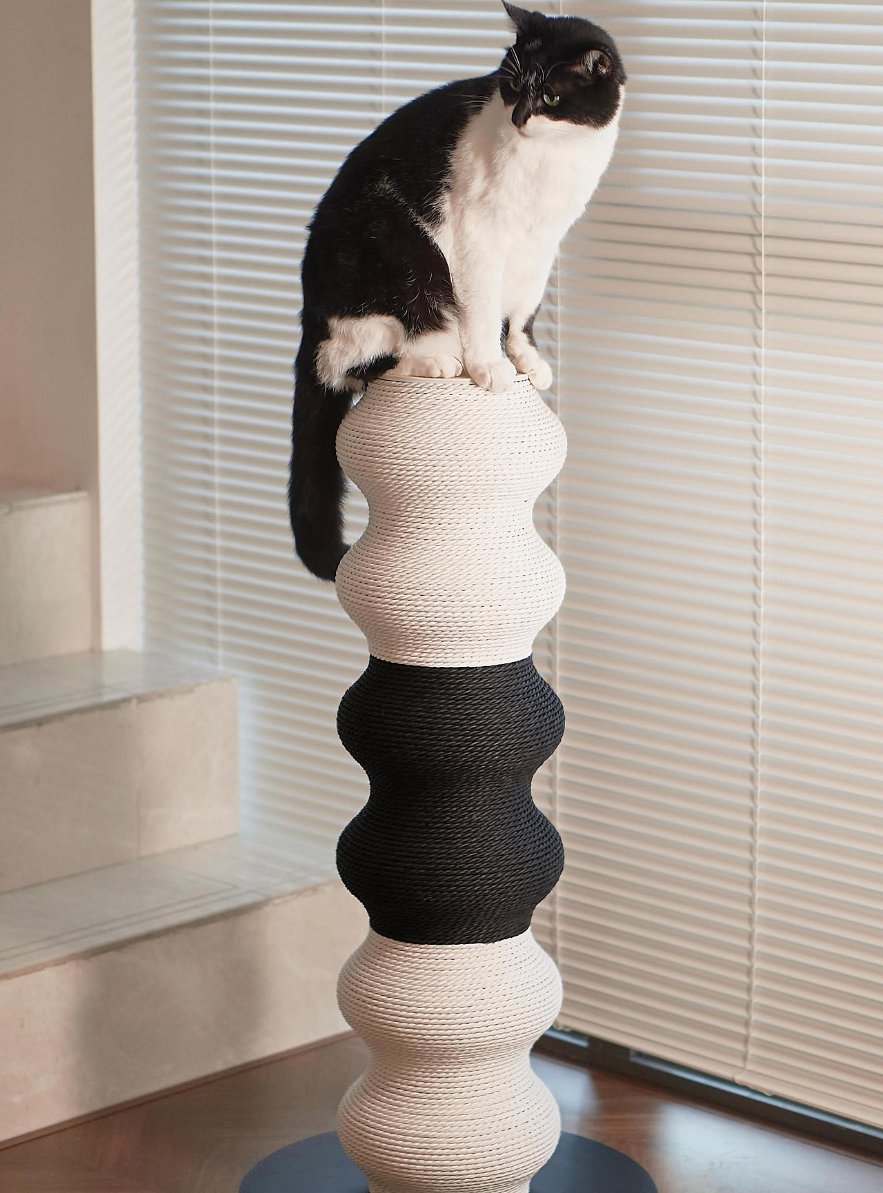 Coral modeling，Cat Pillar，Coral Scratcher，modularization，Black and white minimalist，