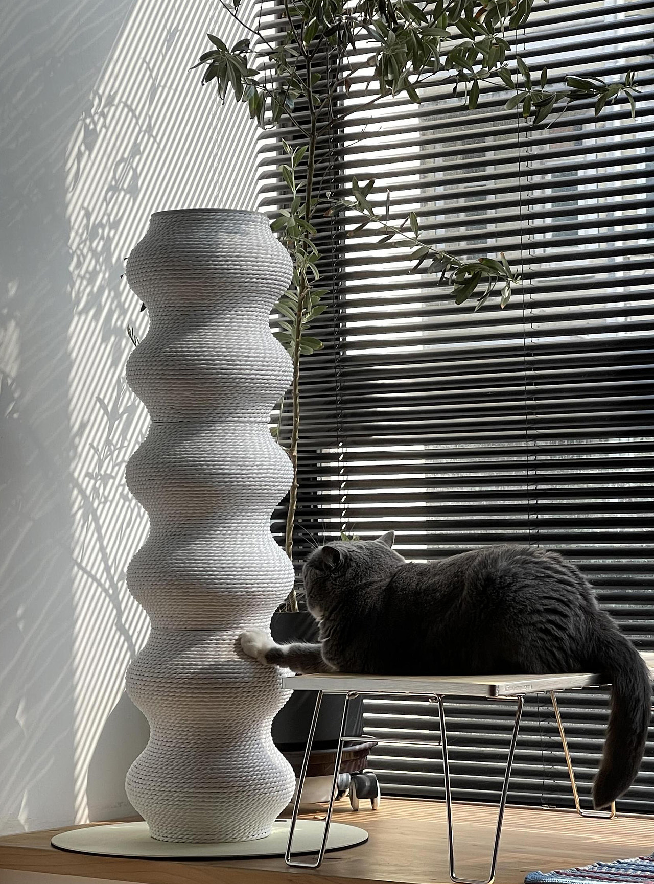 Coral modeling，Cat Pillar，Coral Scratcher，modularization，Black and white minimalist，