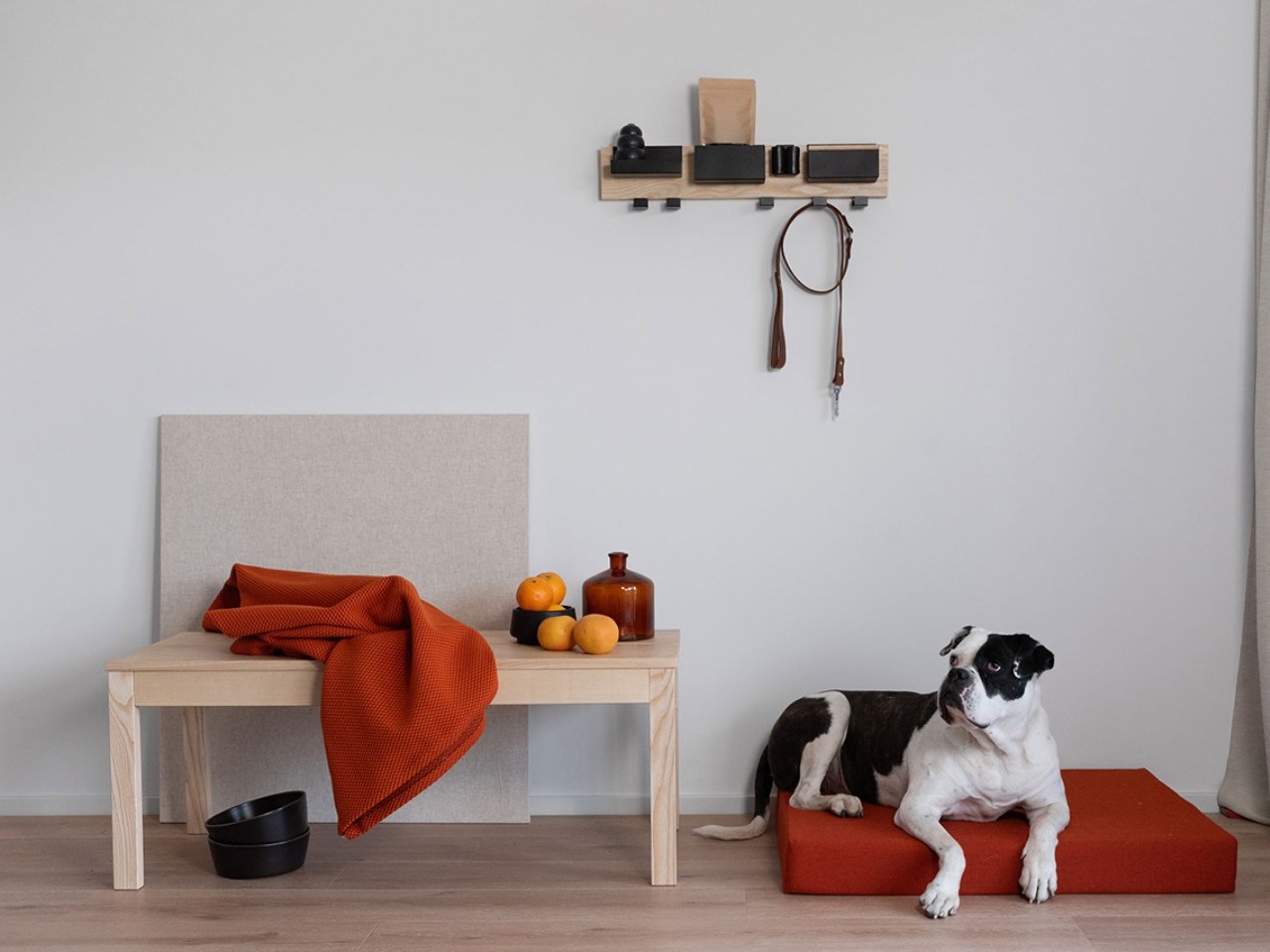 Biting Edge，Pet Supplies & Pet，Pet furniture，originality，