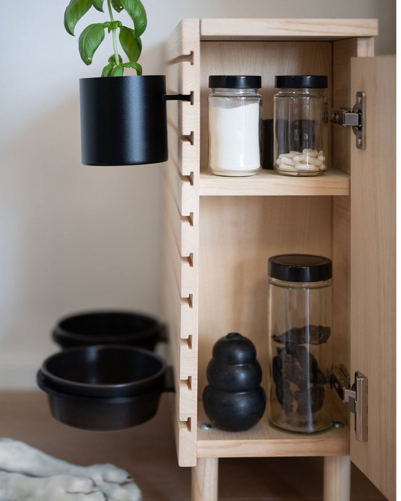 Biting Edge，Pet Supplies & Pet，Pet furniture，originality，