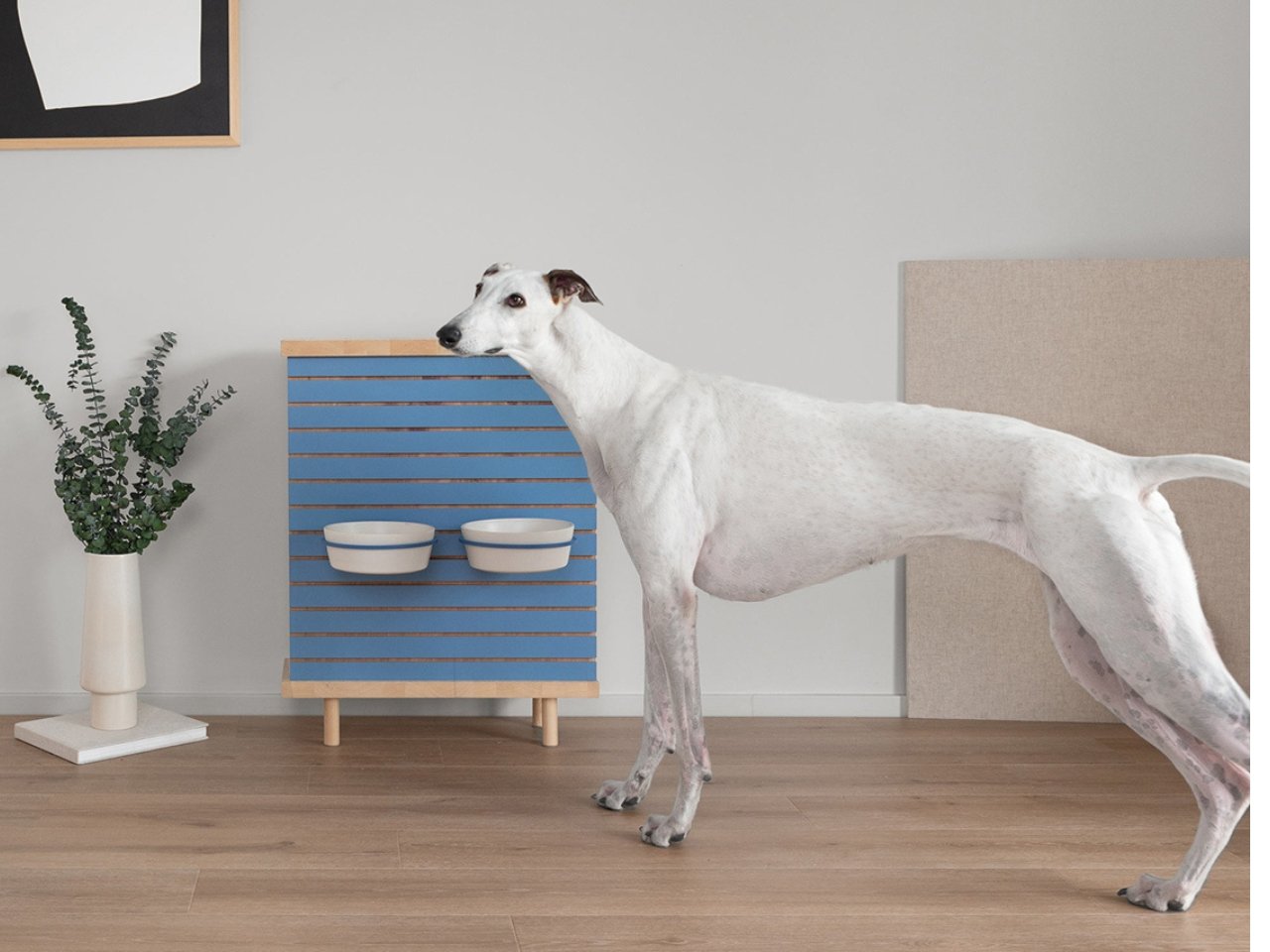 Biting Edge，Pet Supplies & Pet，Pet furniture，originality，