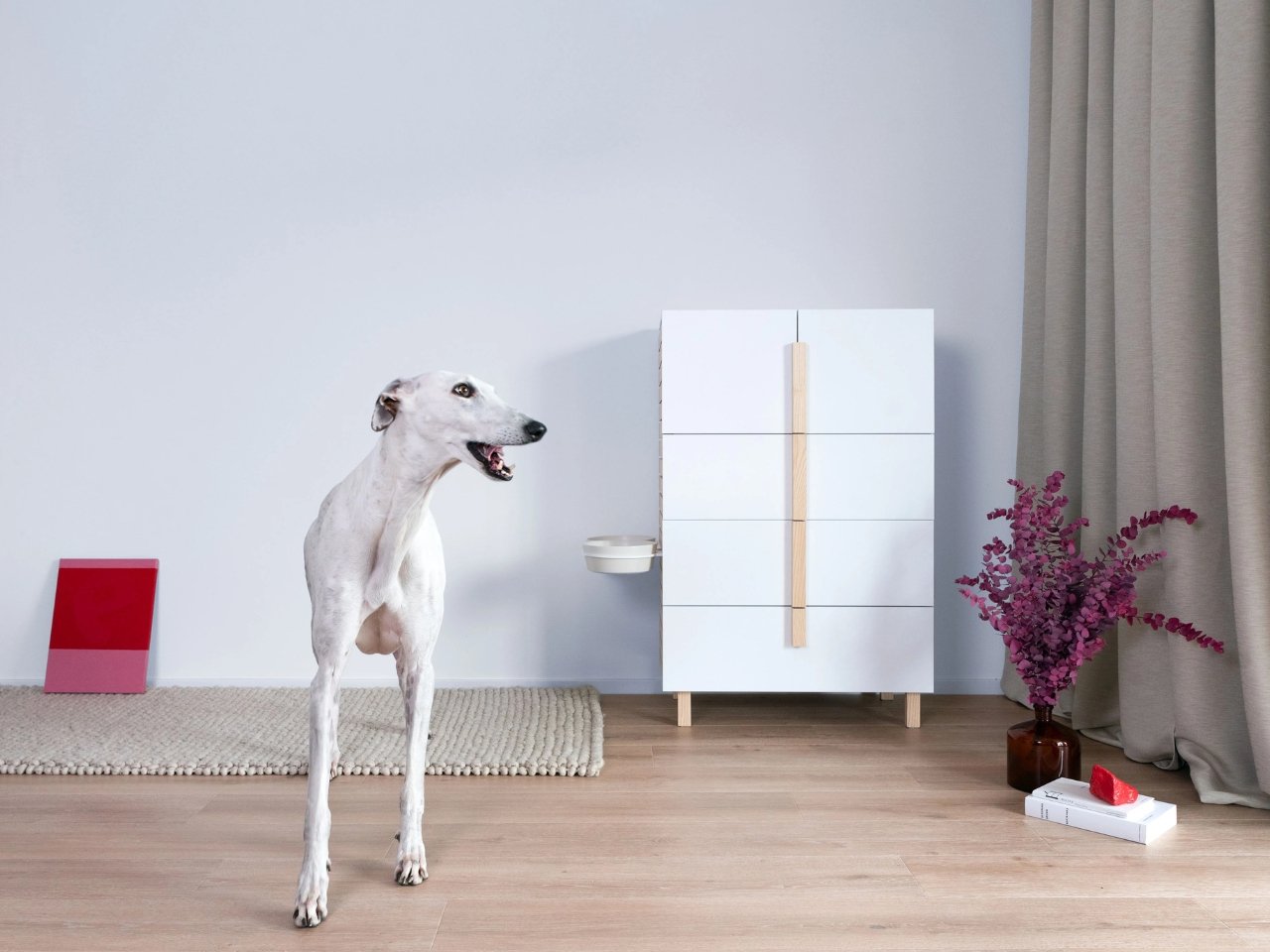 Biting Edge，Pet Supplies & Pet，Pet furniture，originality，