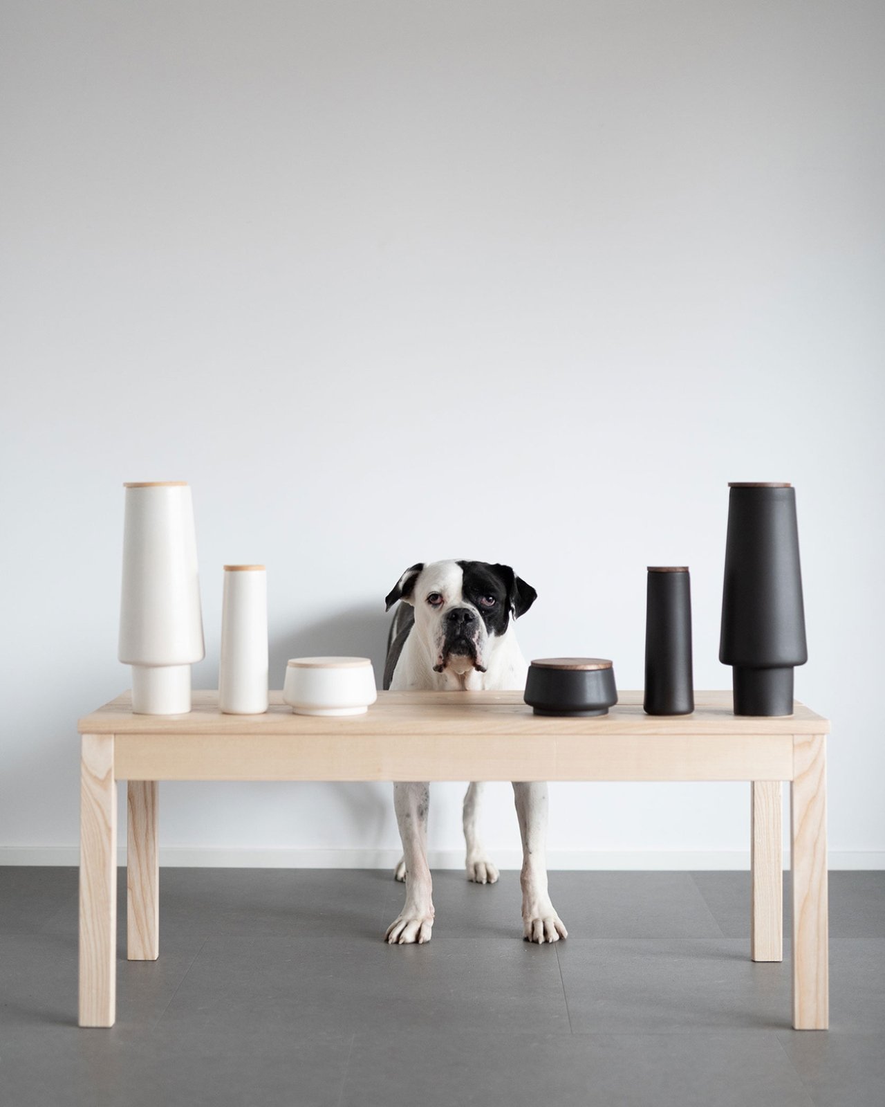 Biting Edge，Pet Supplies & Pet，Pet furniture，originality，