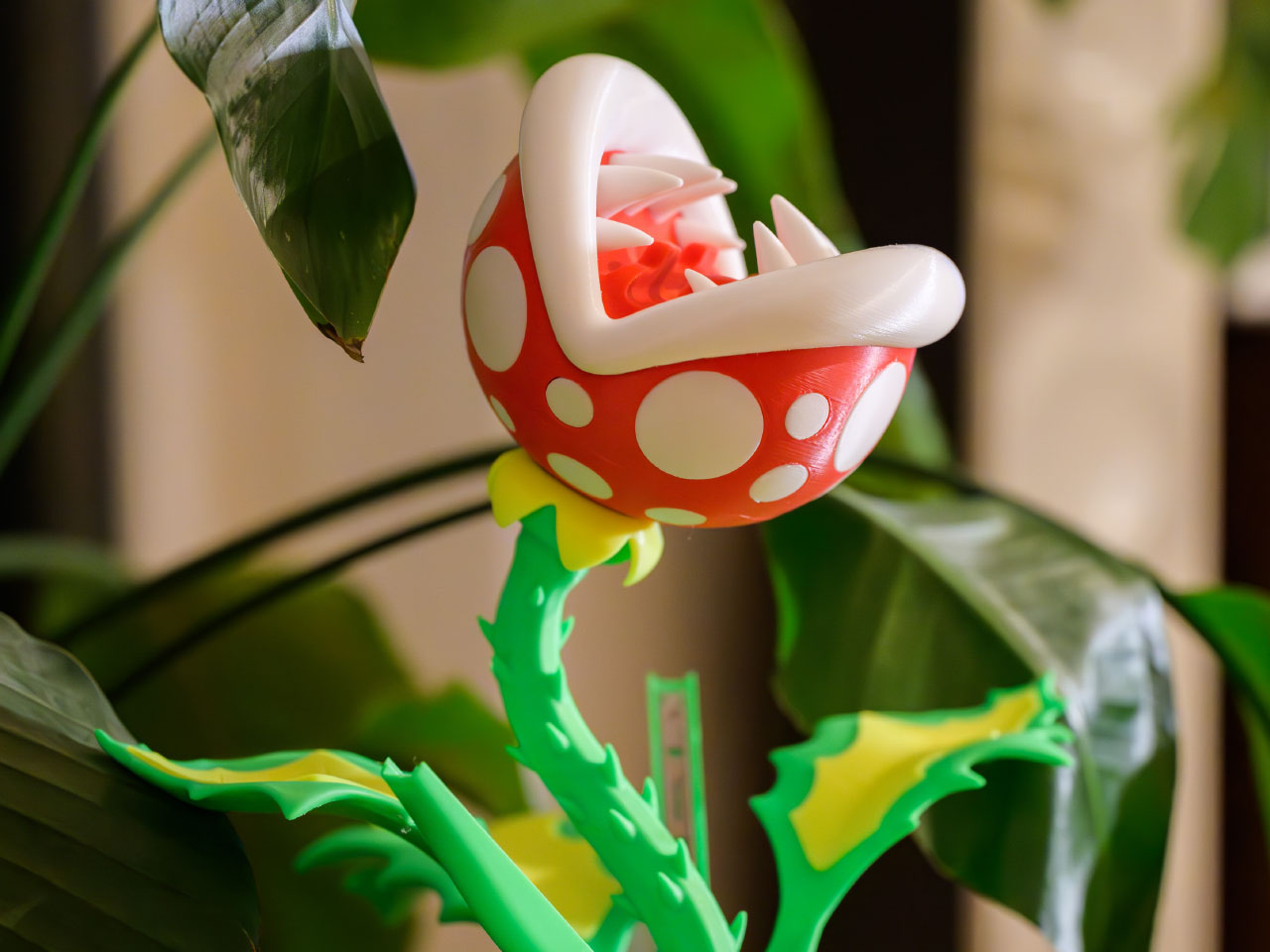 Piranha Plant，Digital，Switch 2 Accessories，camera，