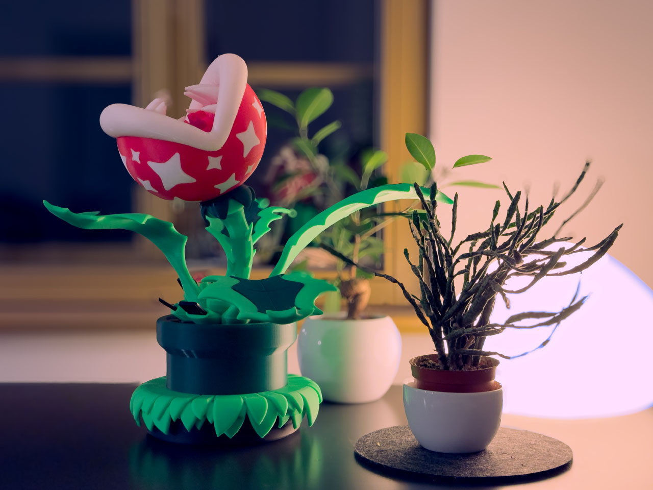 Piranha Plant，Digital，Switch 2 Accessories，camera，