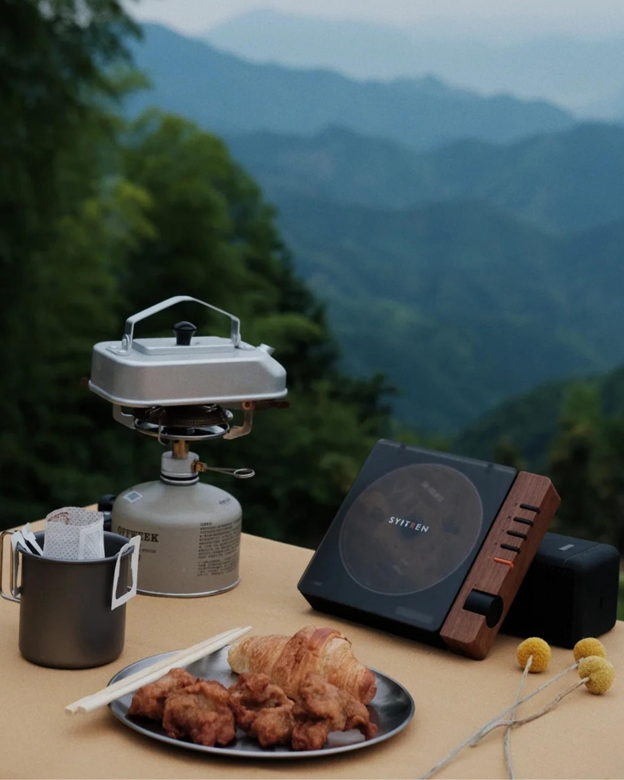 SYITREN R300，CD player，Digital，electronic product，