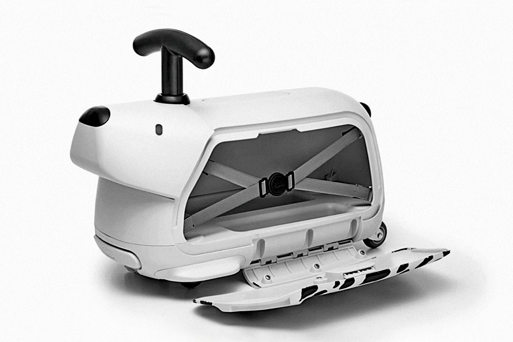 trunk，lovely，white，Bontoy Travell，