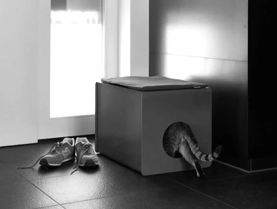 Litter Basin，comfortable，Versatility，storage space ，