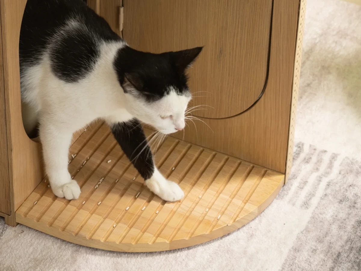 Litter Basin，comfortable，Versatility，storage space ，