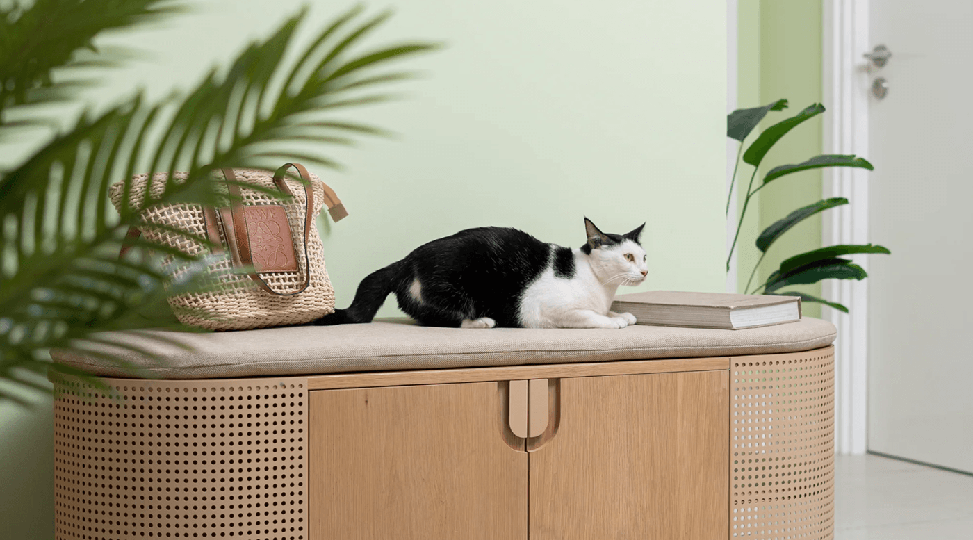 Litter Basin，comfortable，Versatility，storage space ，