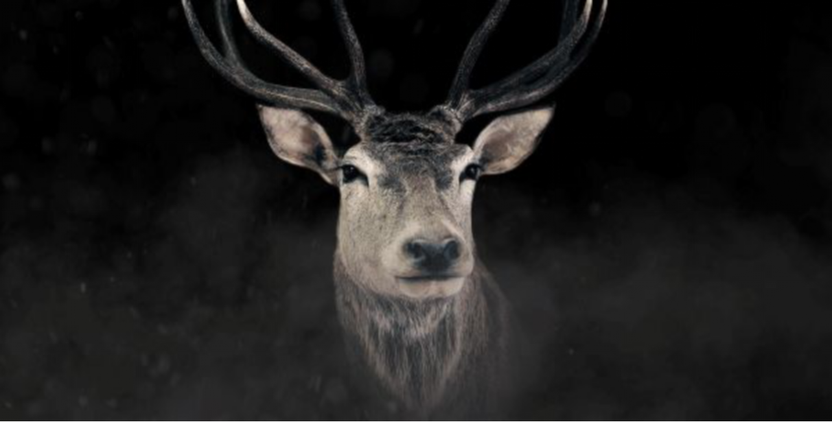 intelligence，motion，Play handsome，