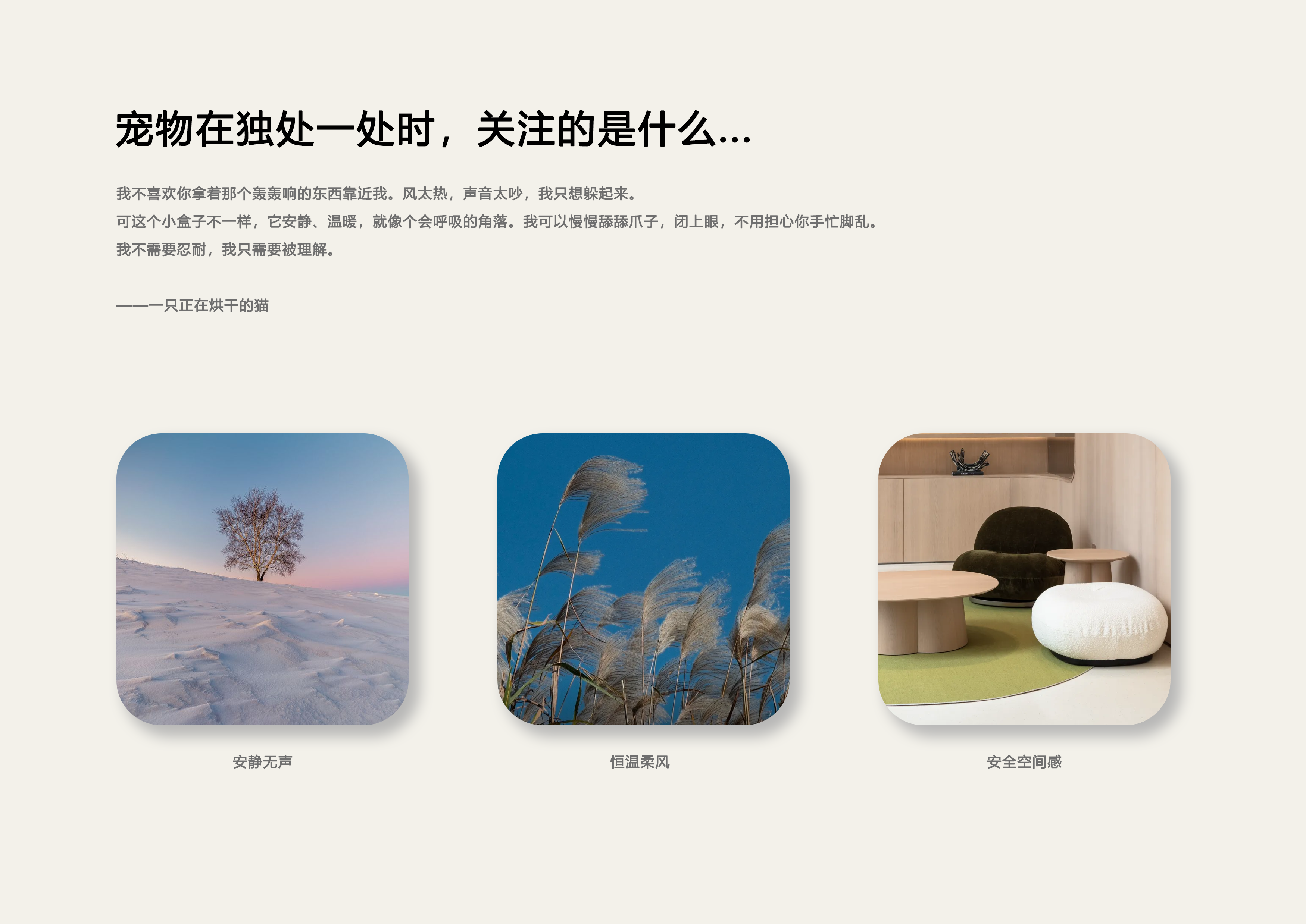 Pet Supplies & Pet，Cat Dog，dryer，