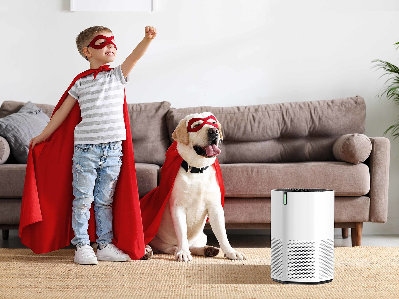 air cleaner，household electrical appliances，Extremely simple wind，