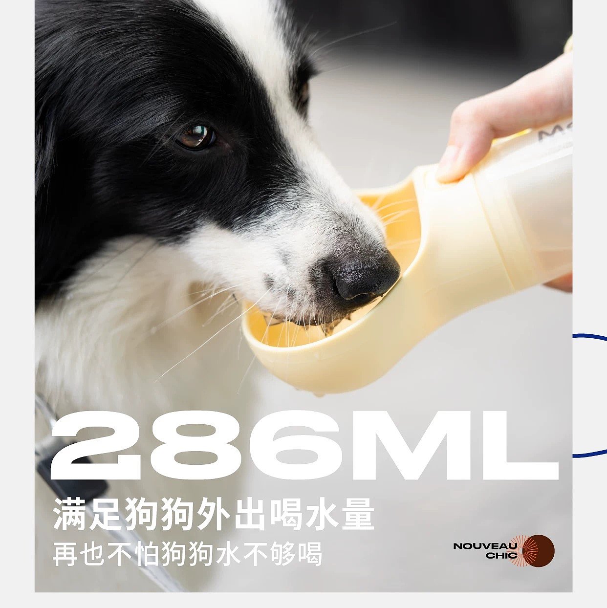 Pet Supplies & Pet，Dog water cup，Pet Kettle，Pet water cup，fashion，Interesting design，