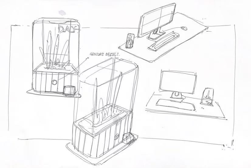 desktop，decompression，cure，Botany，Green plant，