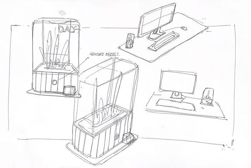 desktop，decompression，cure，Botany，Green plant，