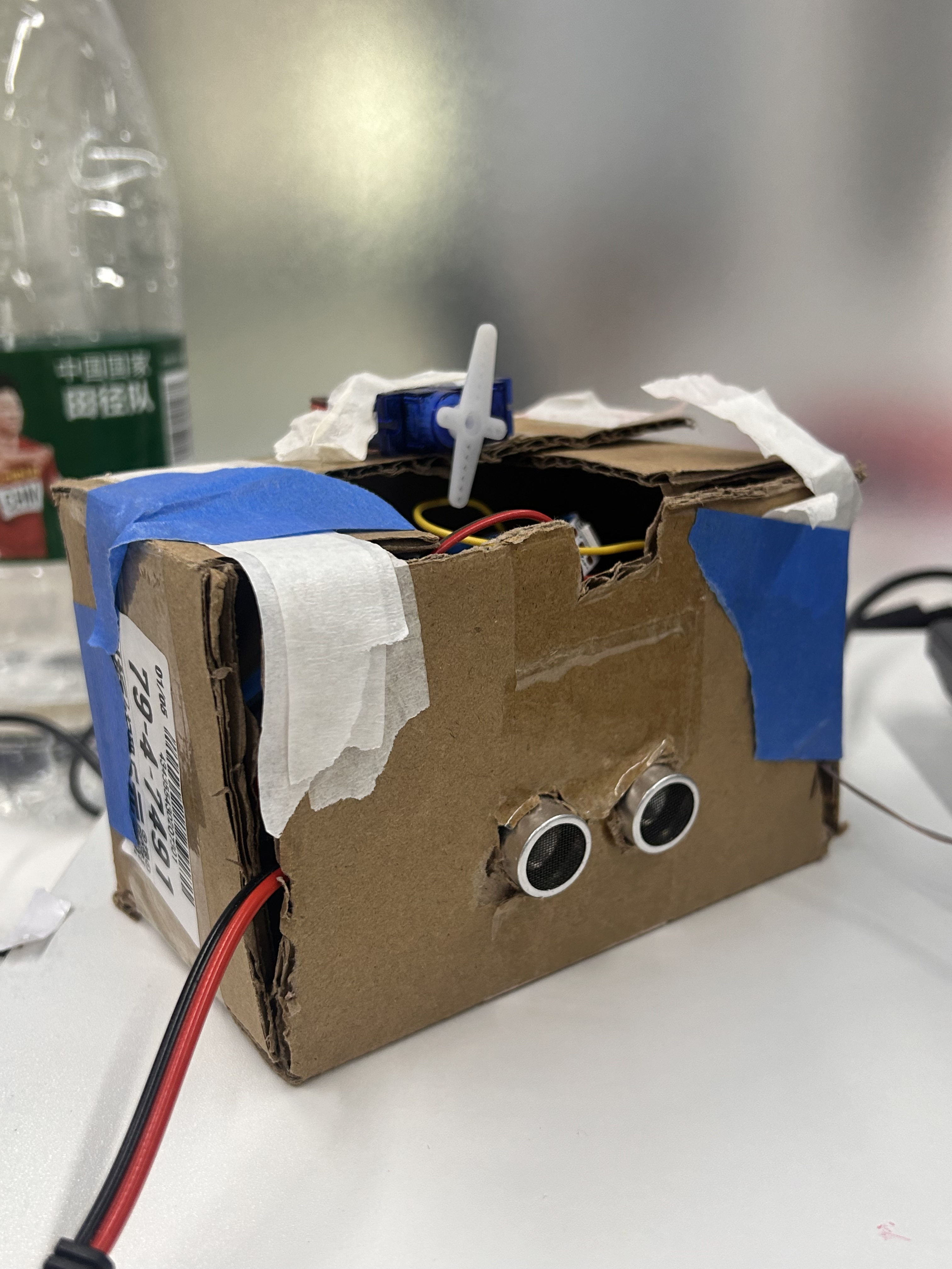 desktop，decompression，cure，Botany，Green plant，