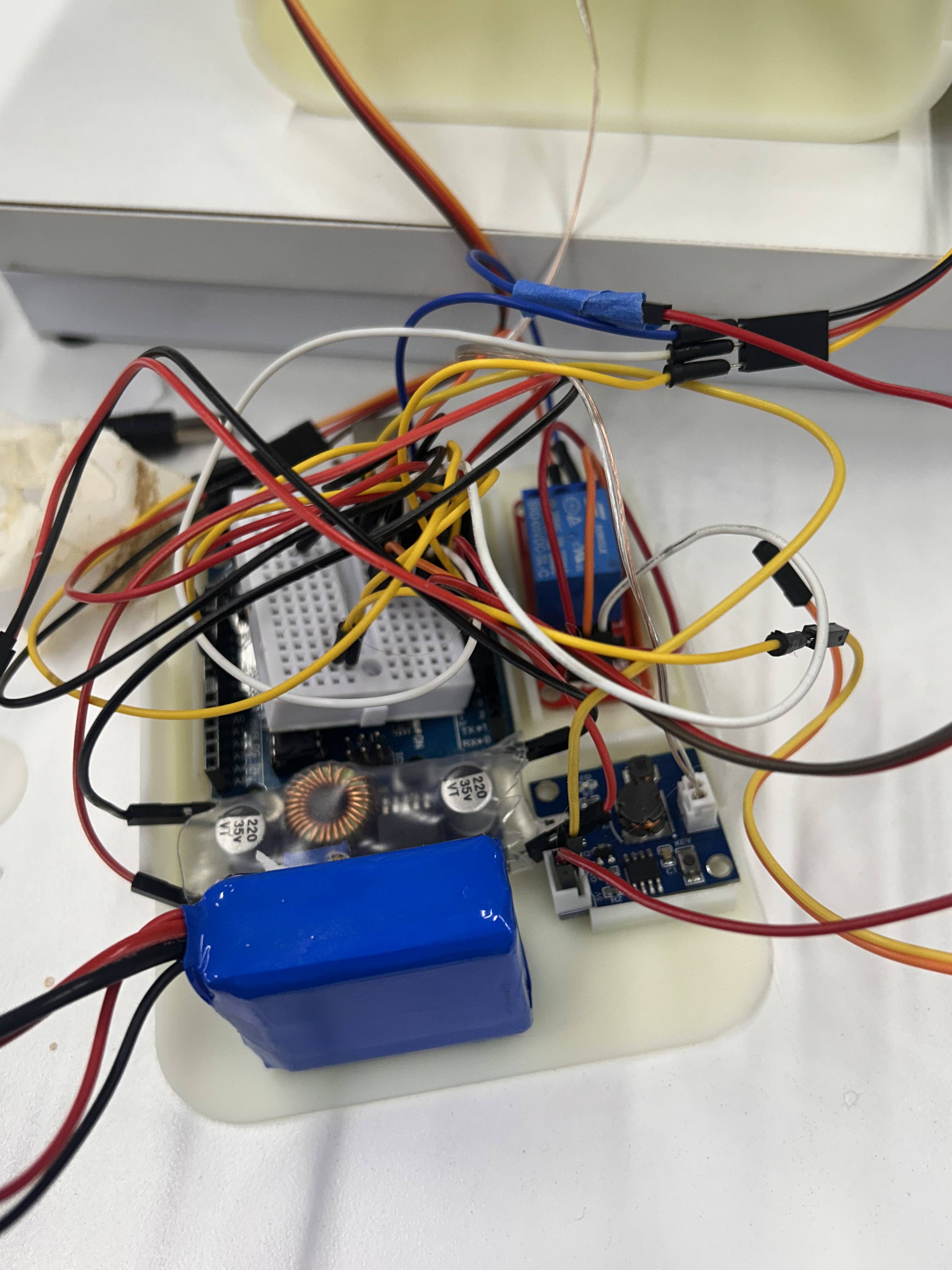 desktop，decompression，cure，Botany，Green plant，