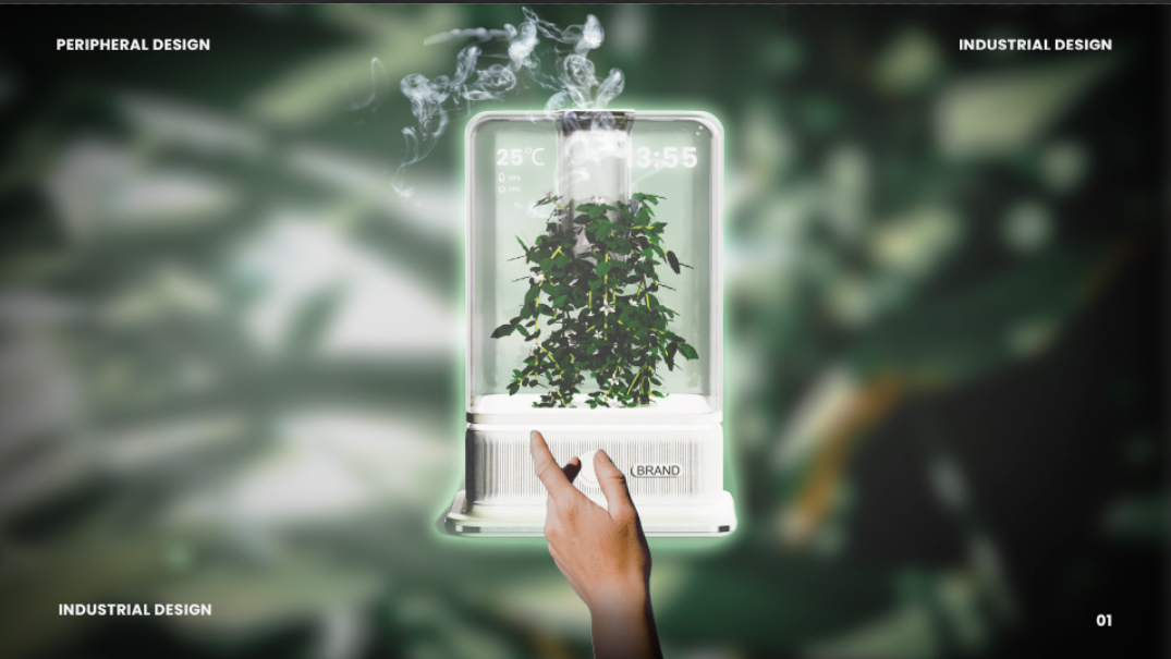 desktop，decompression，cure，Botany，Green plant，