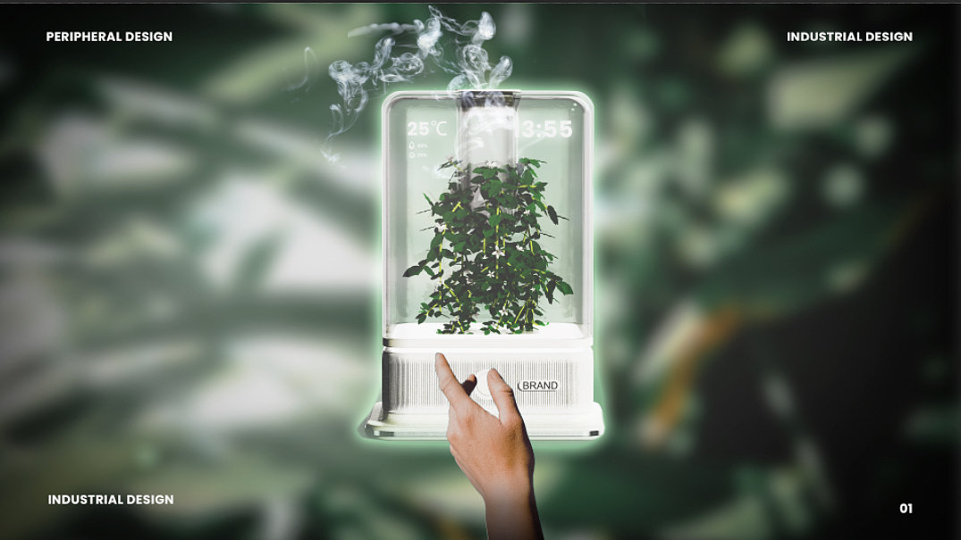 desktop，decompression，cure，Botany，Green plant，