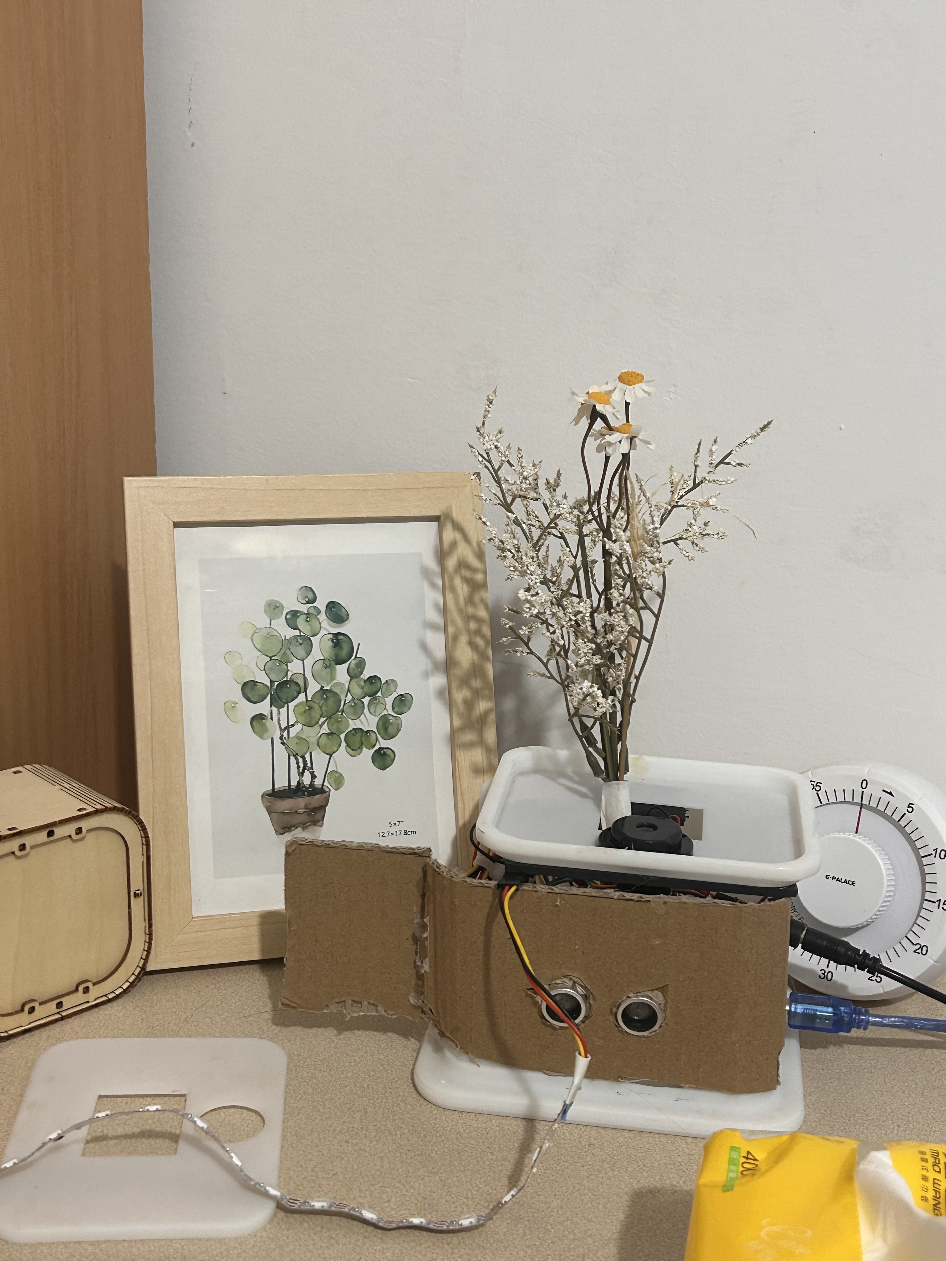 desktop，decompression，cure，Botany，Green plant，