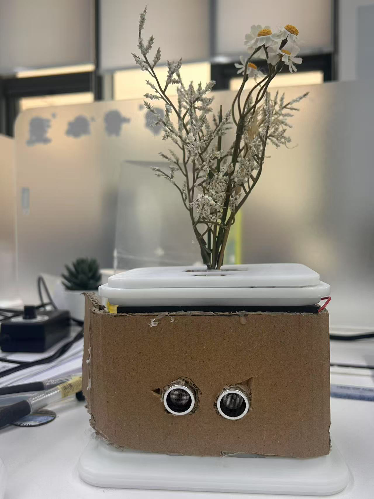 desktop，decompression，cure，Botany，Green plant，