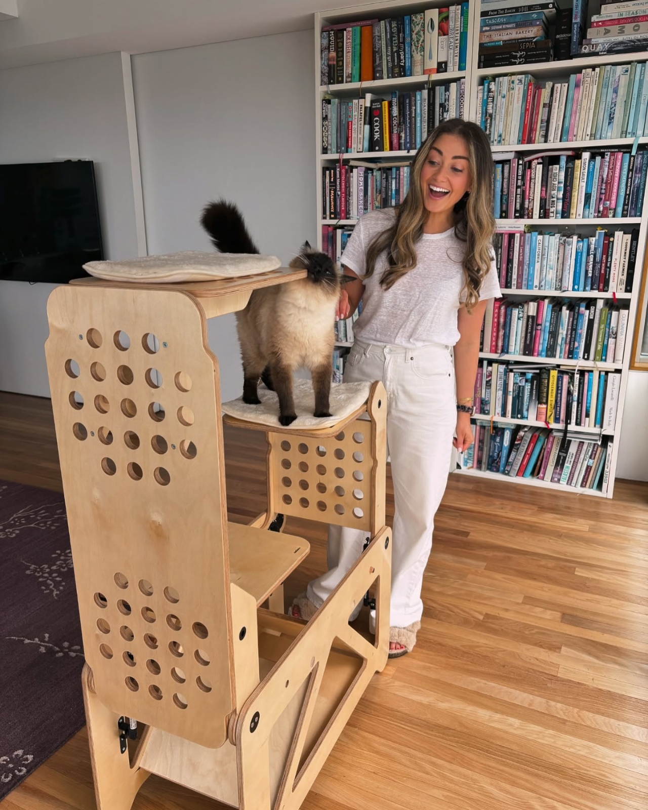 Billyhops，Cat climbing frame，Folding furniture，woodwork，Multi-function bench，Multi-function bench，