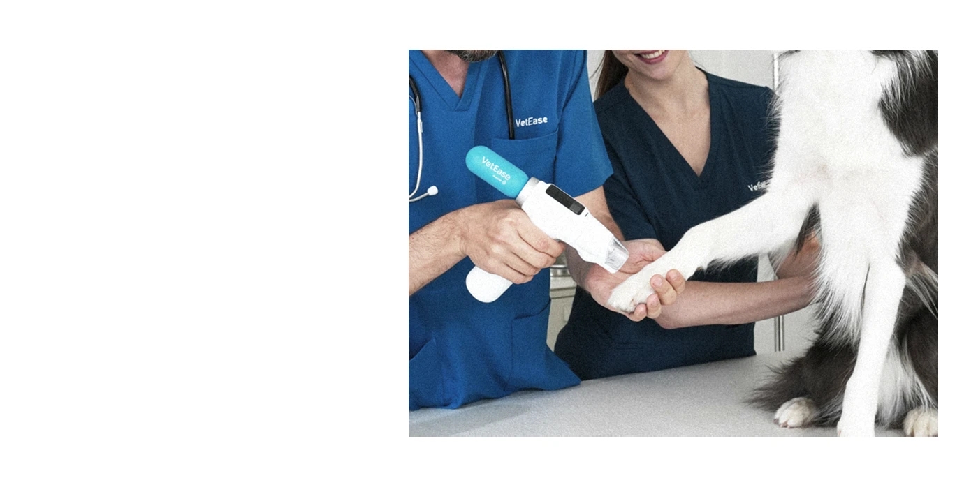 Recens，Pet medical device，Pet Anesthesia Gun，Medical equipment，