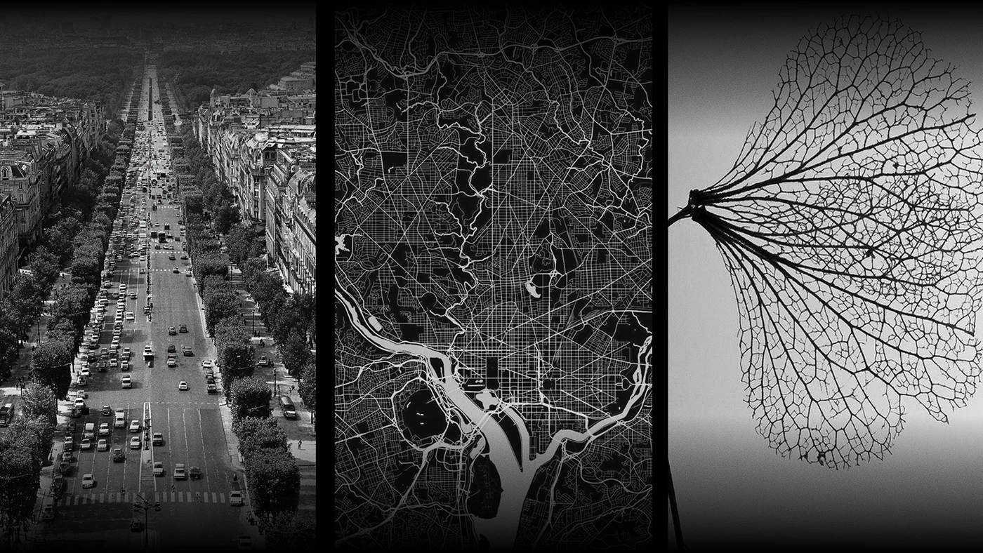 Cellexis，vehicle，industrial design，automobile，