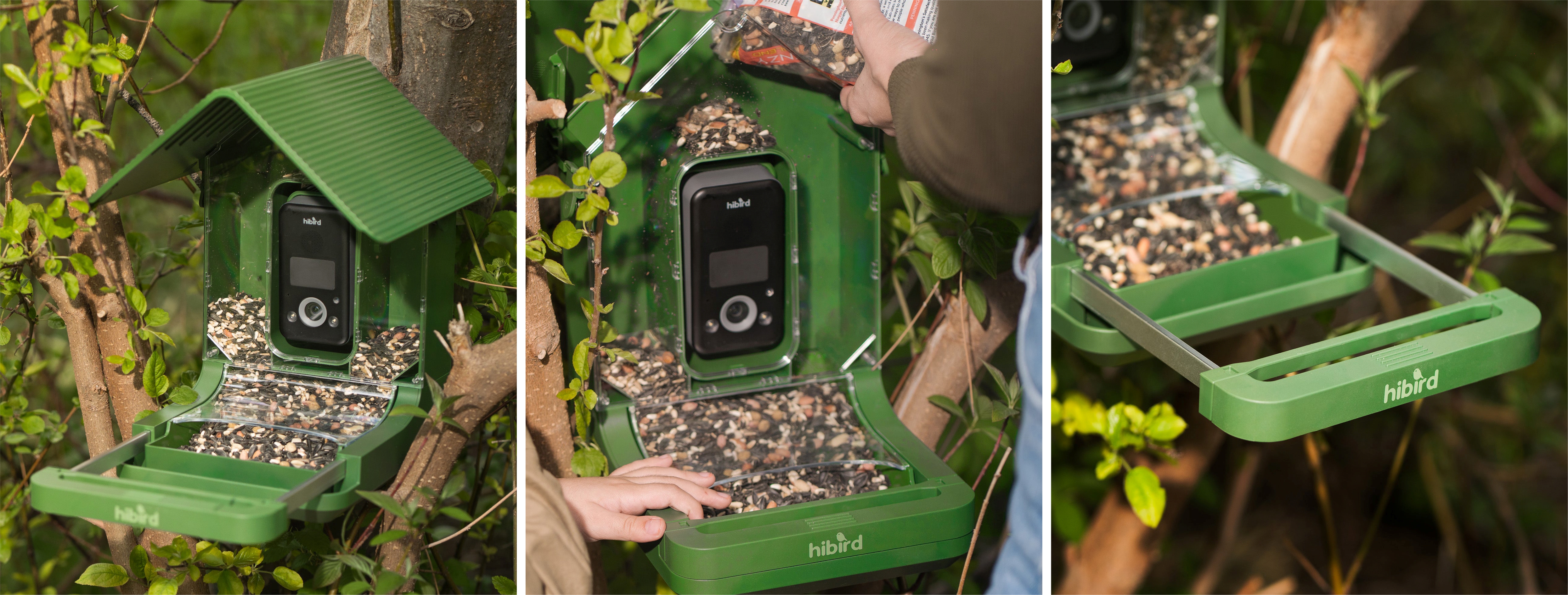 Bird Watching，camera，Infrared Camera，