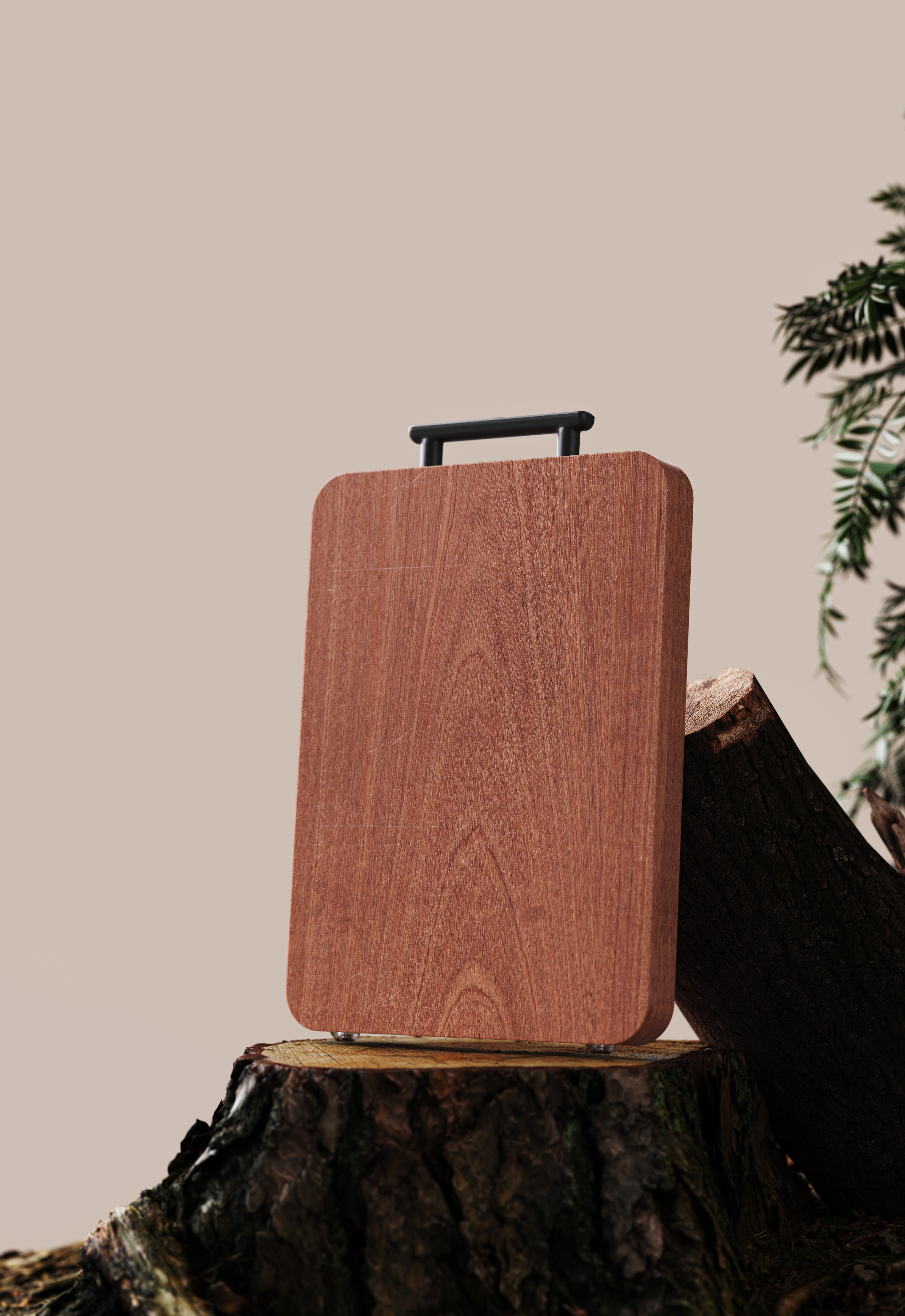 solid wood cutting board，E-commerce rendering，Original design，Kitchen Products，