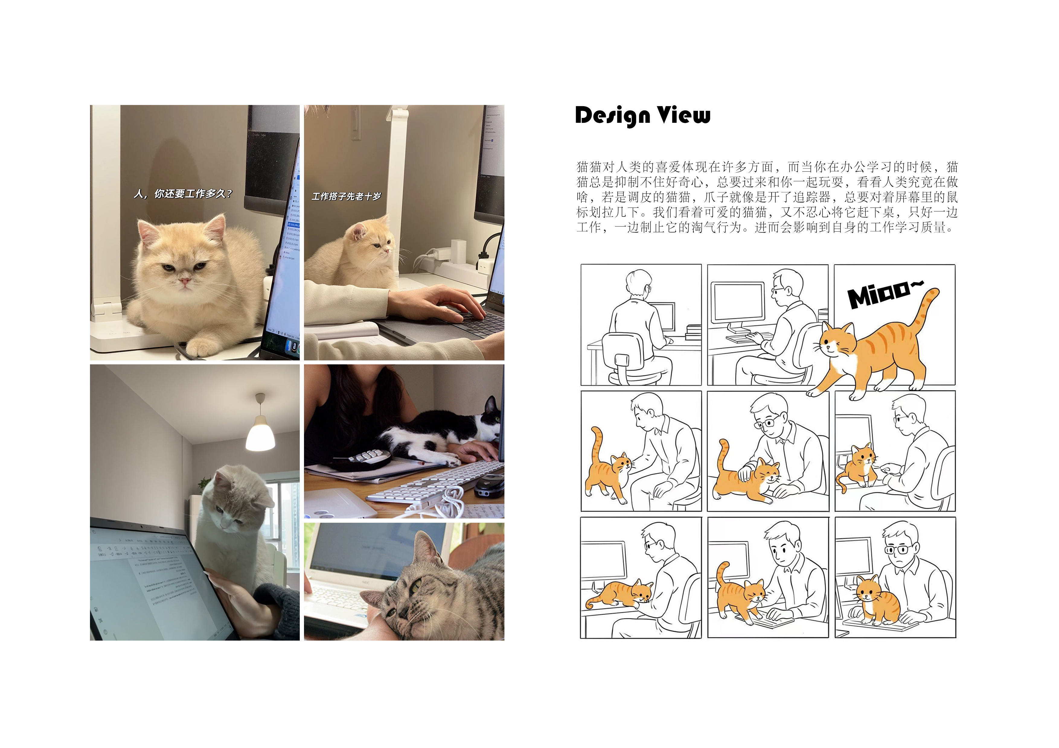 sample reels，graduate student，furniture，product，Design，