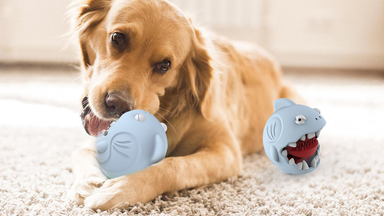 Pet toys，Original design，industrial design，Pet Toy Shark，Dog toys.，