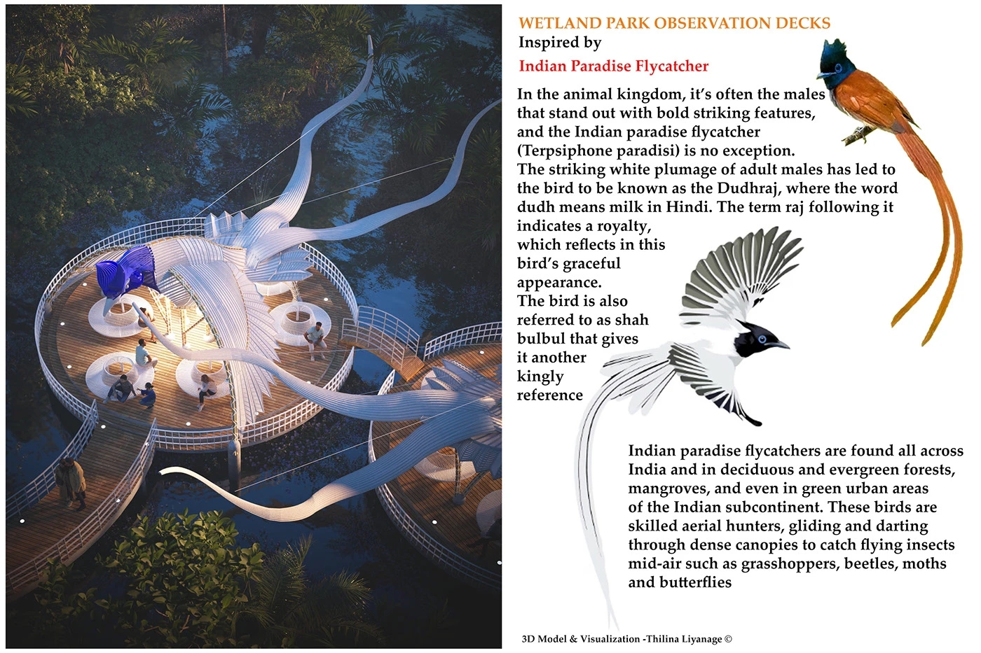 Wetland，Viewing platform，catcher，Cozy，Rest place，