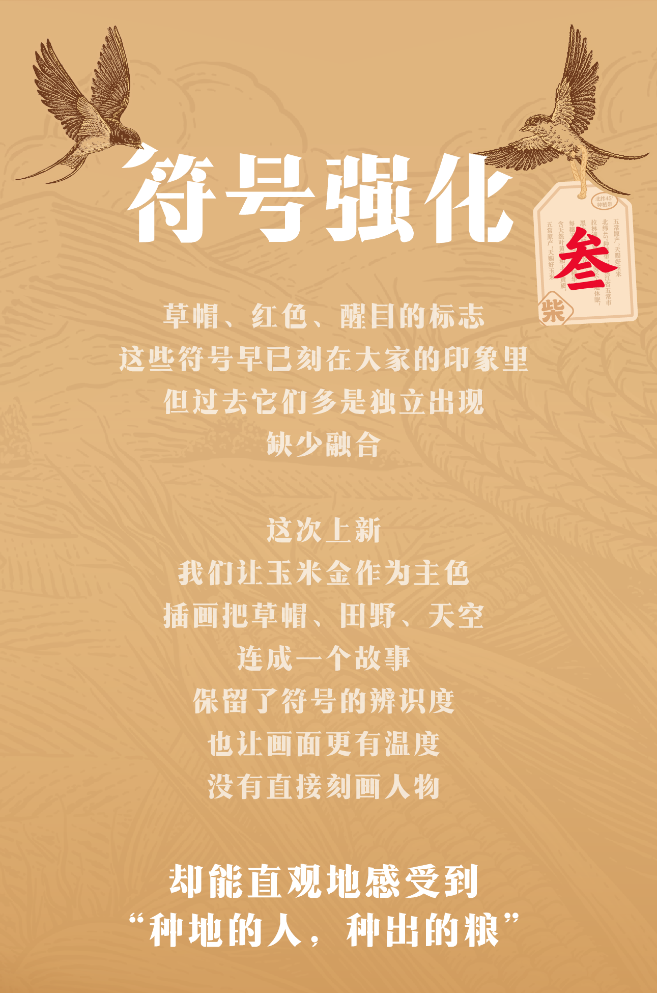 Illustration packaging，agricultural product packaging，Holiday gift box，Corn packaging，Firewood Compound，Brand design，packing design，Original design，