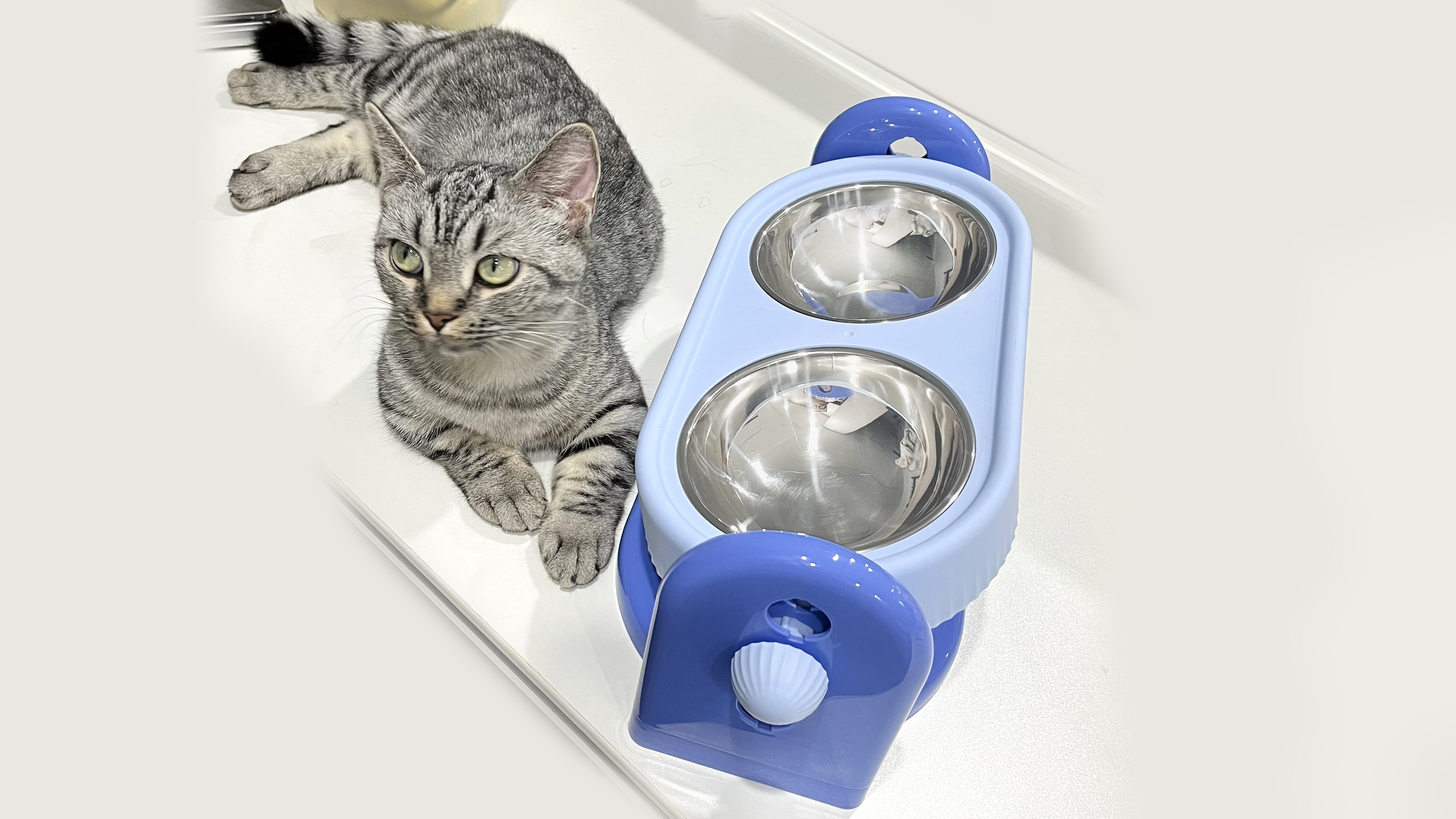 Pet Supplies & Pet，Pet Adjustable Double Bowl，Pet feeder，product design，Structural design，industrial design，Pet neck protection can lift double bowl design，Appearance design，