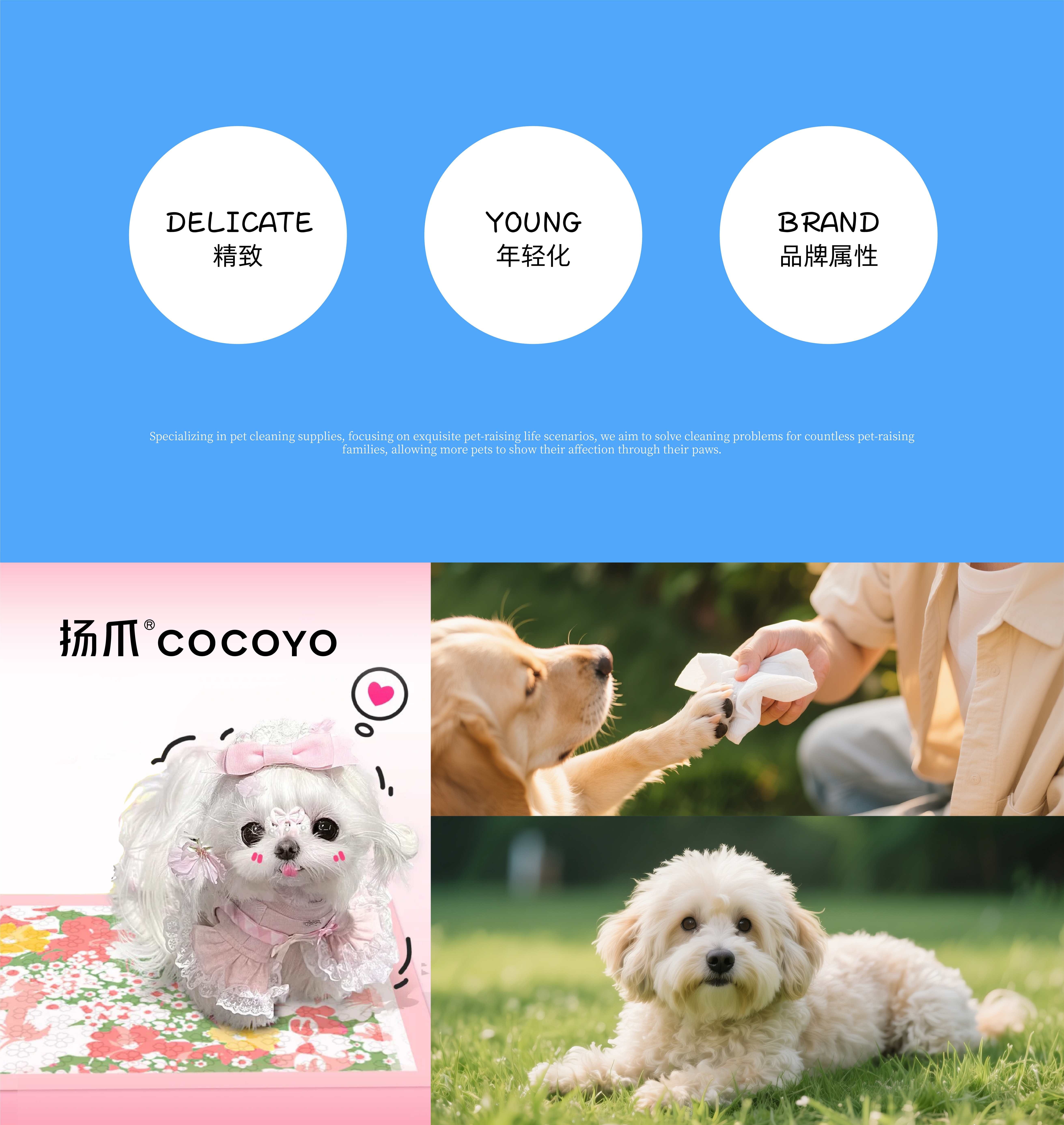 Pet urine pad，packing design，Creative design，Festival Limited Design，