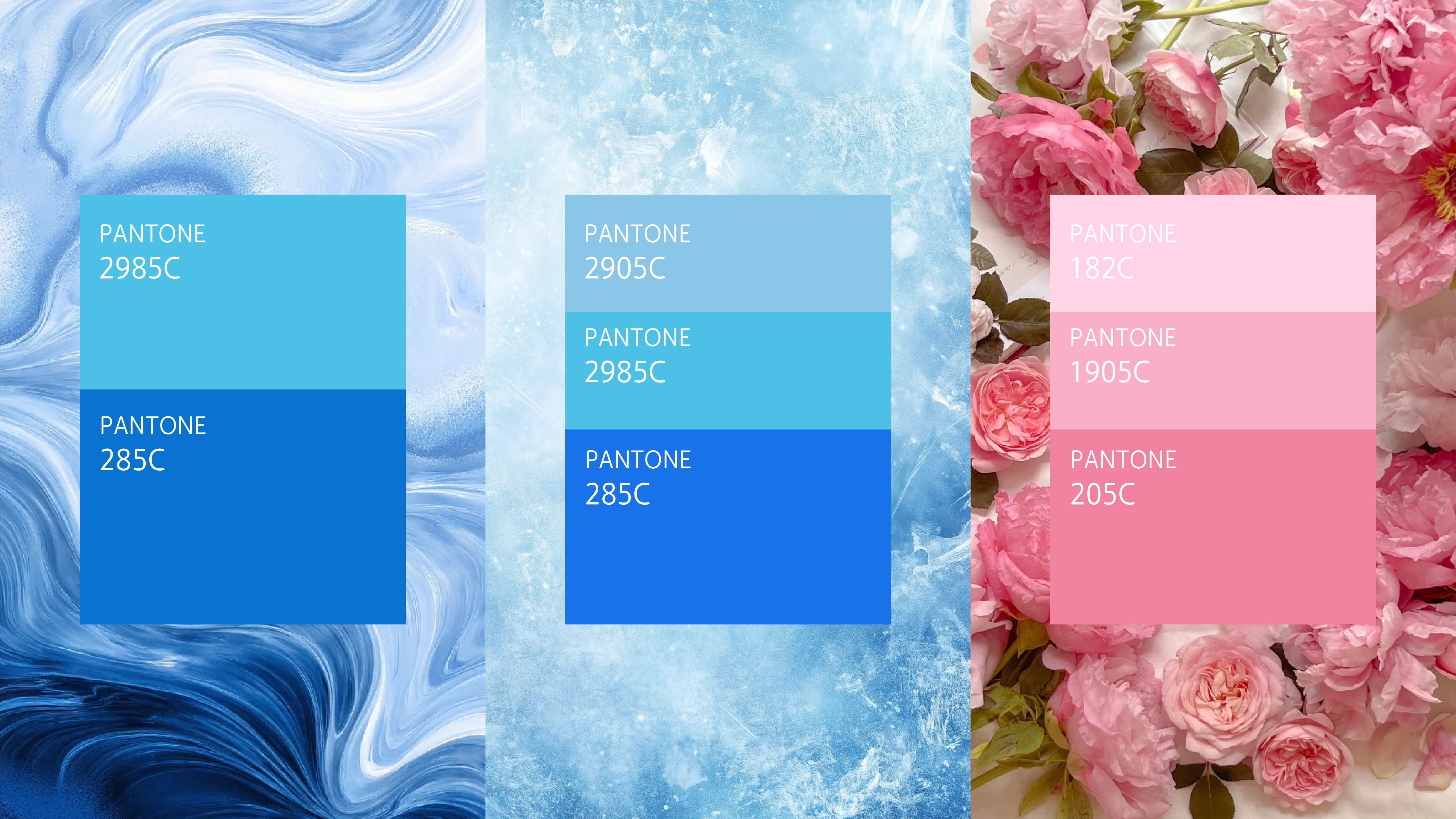 Pet urine pad，packing design，Creative design，Festival Limited Design，